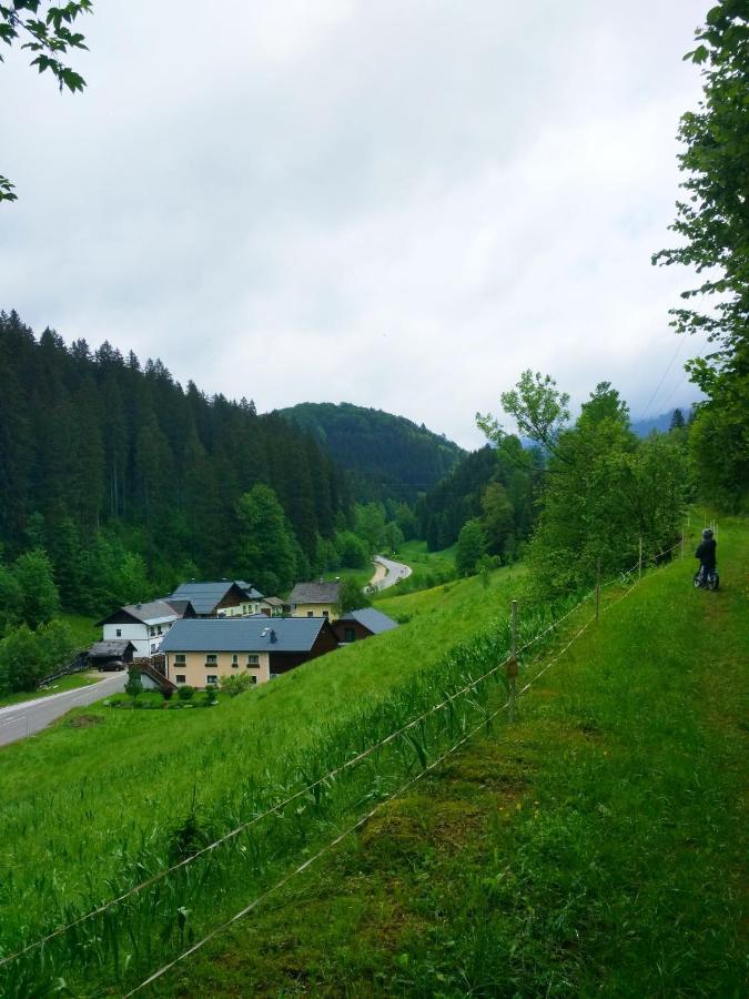 Villa Fortuna Natur Lackenhof Esterno foto